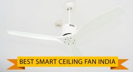 Best Smart Ceiling Fan India