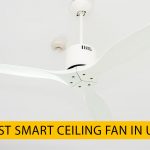 Best Smart Ceiling Fan in USA 2021