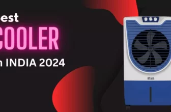 Best buy cooler in 2024