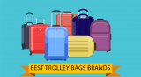 Best Trolley Bags Brands 2022 (August)