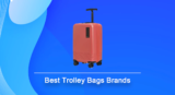 14 Best Trolley Bag Brands in Indian Market (March 2024)